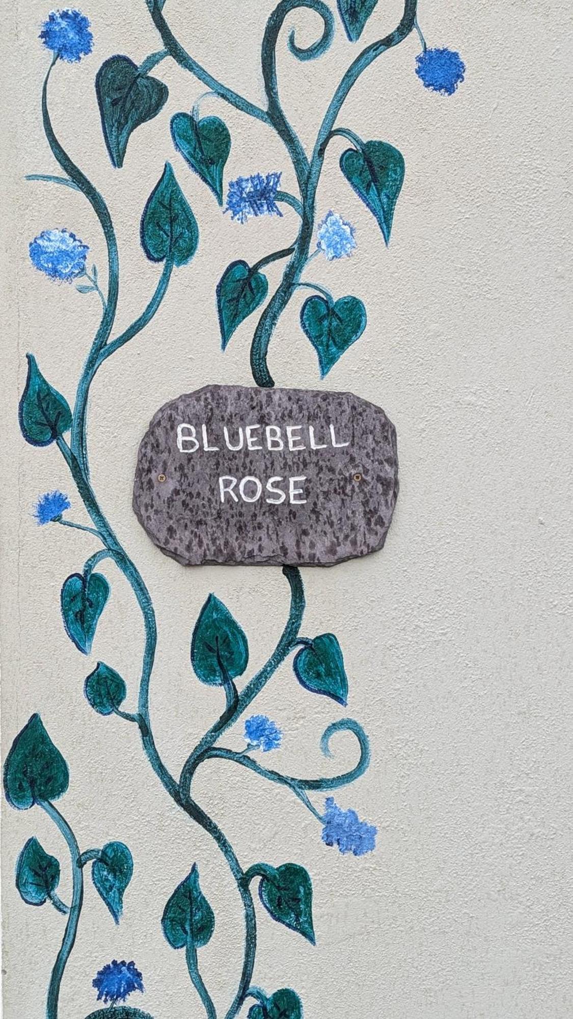Ferienwohnung Skellig View Bluebell Rose&The Kerry Cliffs Portmagee Exterior foto